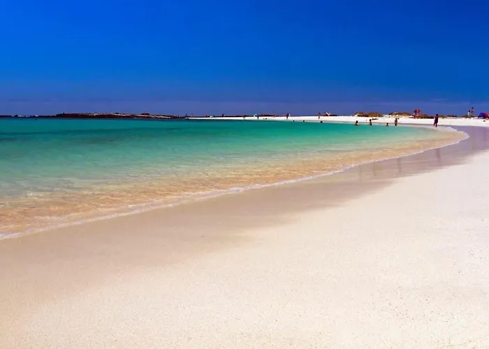 Sun Cotillo